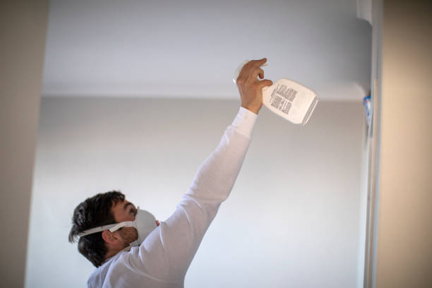 Best Mold Inspection  in Union, NJ