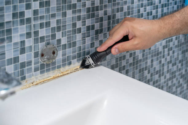 Best Mold Testing  in Union, NJ