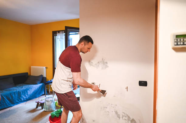 Best Mold Cleaning Services  in Union, NJ